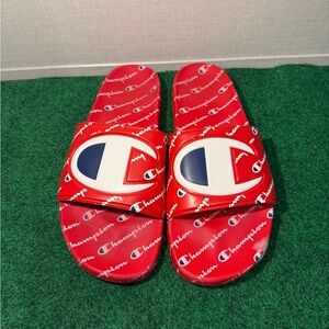 Champions slides